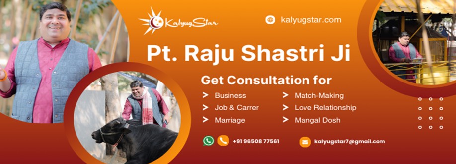 Pt Raju Shastri Ji Cover Image