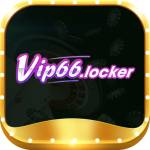 vip66 locker Profile Picture