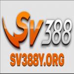 sv388y org Profile Picture