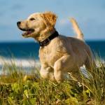 leodas leodas Profile Picture