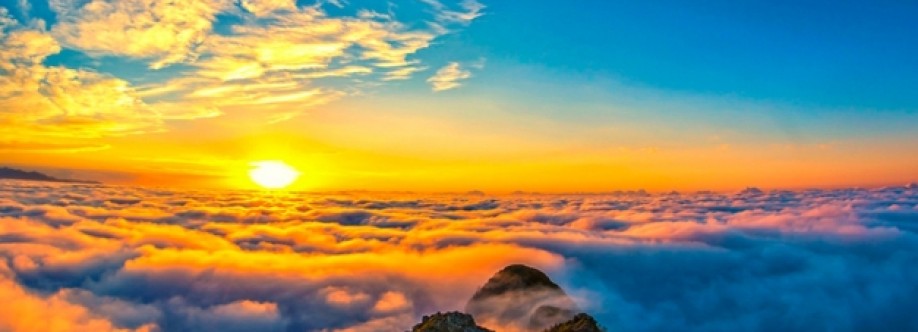 Songul Kalafat Cover Image