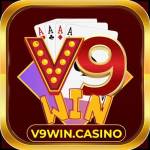 V9 win Profile Picture
