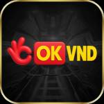 okvnd cloud Profile Picture