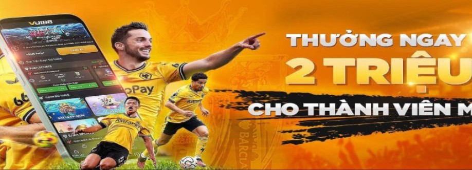 vui88 ltd Cover Image