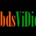 Vi Diệu Profile Picture