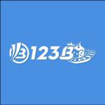 123b2 org Profile Picture