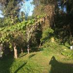 Marcos Bernardo Profile Picture