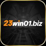 23win01 biz profile picture