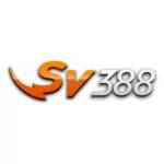 SV388 work Profile Picture