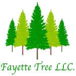 Fayette Tree Profile Picture