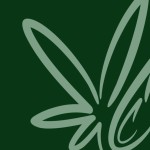 cannabis clones Profile Picture