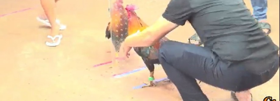 Trangchu Daga88 Cover Image