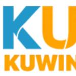 Kuwin Net Profile Picture
