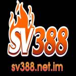 sv388 netim profile picture