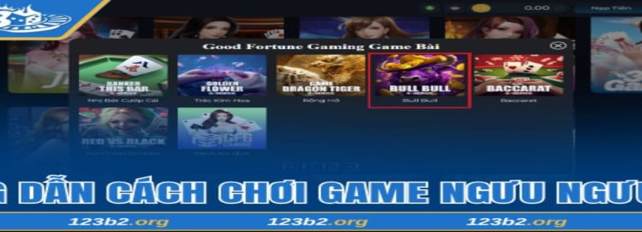 123b2 org Cover Image