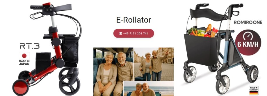 romiro robotic Cover Image