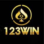 123win Casino Profile Picture