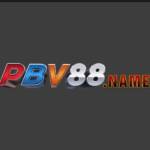 PBV88 name Profile Picture