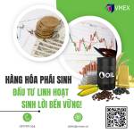 Lan Vmex Profile Picture