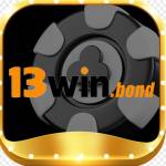 13winbond 13winbond Profile Picture