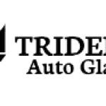 Trident Auto Glass Profile Picture