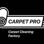 Carpetpro wash Profile Picture