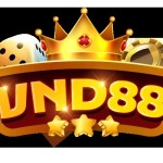 vnd88 vnd888 Profile Picture