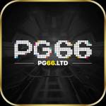 PG66 Profile Picture