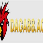 Daga88 Sân chơi đá gà trực tuyến đỉnh c profile picture