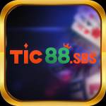 tic88 sbs