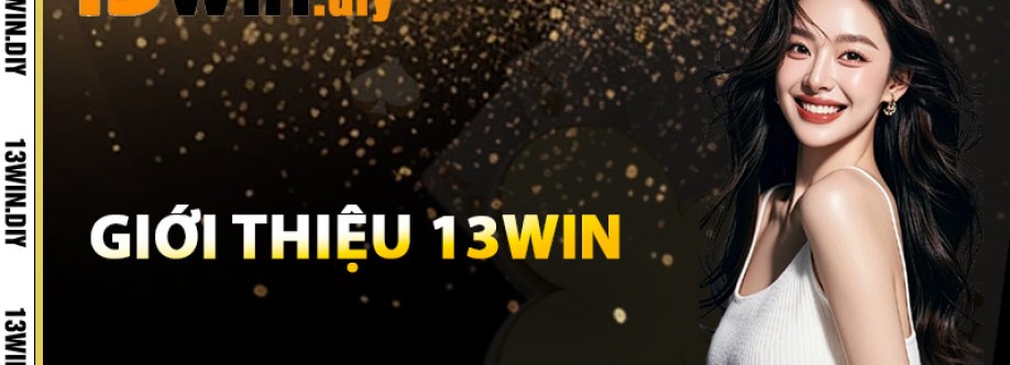 13win Diy Cover Image