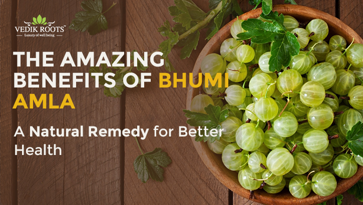 The Amazing Benefits of Bhumi Amla: A Natural Remedy for Better Health – Jeevan Veda
