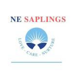 New Era Saplings Profile Picture