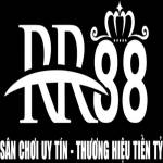 RR88 surf Profile Picture