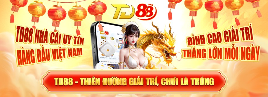 Td88 Channel Cover Image