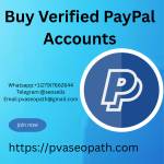 Buy Verified PayPal Accounts Profile Picture