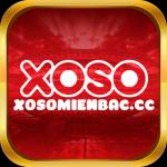 xosomienbac cc Profile Picture