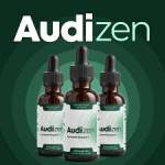 audizen product Profile Picture