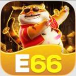 E66 Homes Profile Picture