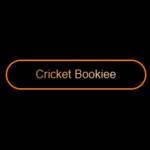 Online cricket id id Profile Picture