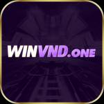 winvnd one Profile Picture