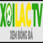 agil8com die web Profile Picture