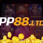 PP88 ltd