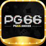pg66 soccer