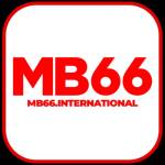 mb66 international Profile Picture