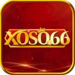 Xoso66 Nayoga Profile Picture