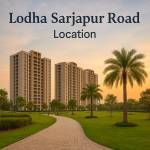 Vrinda International profile picture