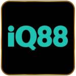 Iq88vn Profile Picture