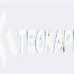 Teckapk org Profile Picture