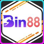 Bin88 meme Profile Picture